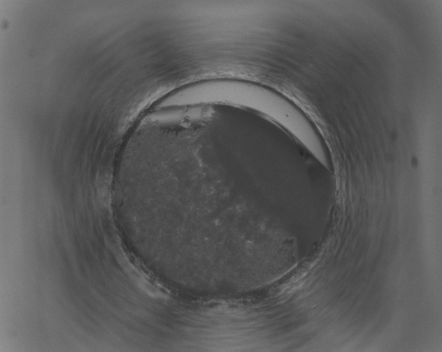 X0000067870434200604271739