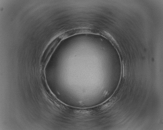 X0000067870435200604271739