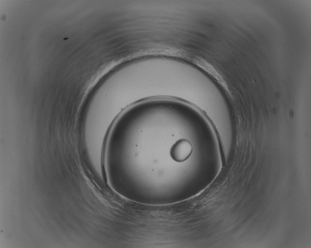 X0000067870436200604271740