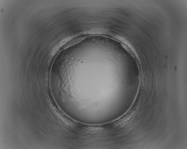 X0000067870437200604271740