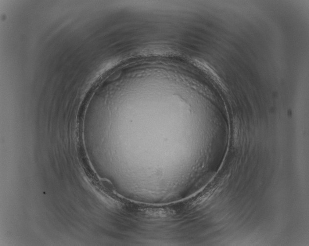 X0000067870439200604271740