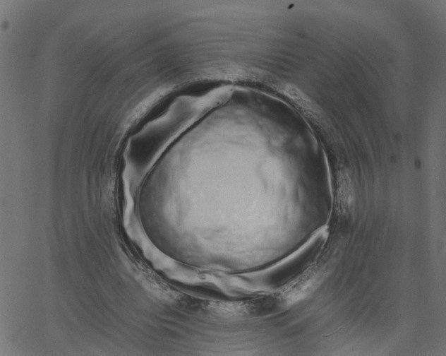 X0000067870440200604271740