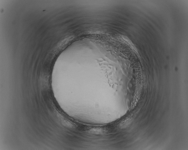 X0000067870441200604271740