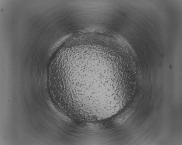 X0000067870442200604271740