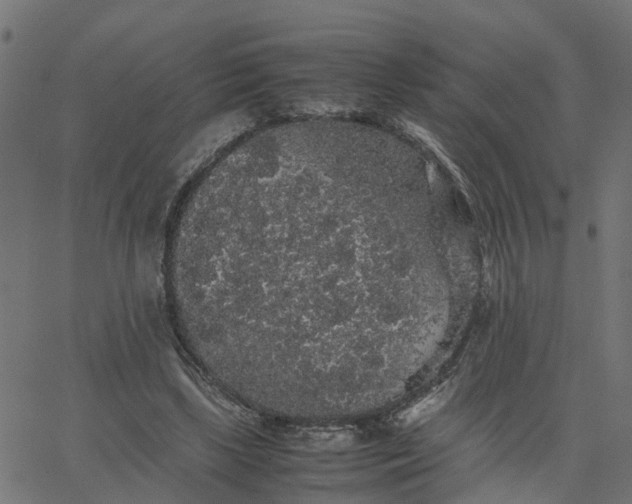 X0000067870443200604271740