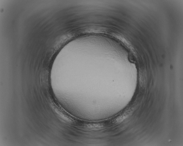 X0000067870445200604271740