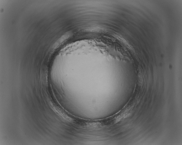 X0000067870446200604271740