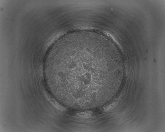 X0000067870447200604271740