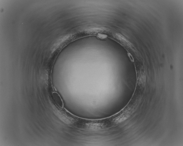 X0000067870448200604271740