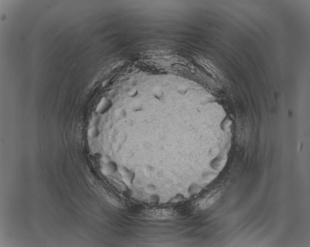 X0000067870449200604271740