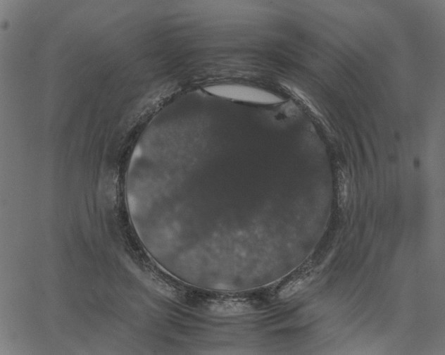 X0000067870451200604271740