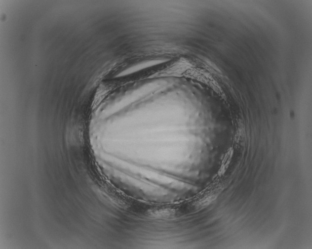 X0000067870452200604271740