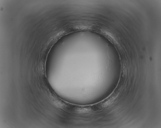 X0000067870453200604271740