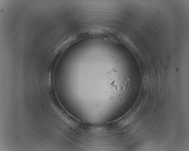 X0000067870454200604271740