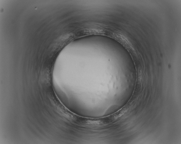 X0000067870457200604271740