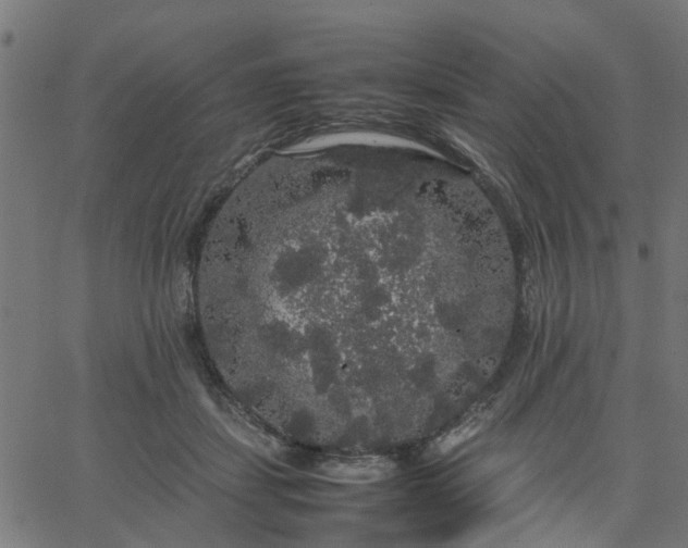 X0000067870459200604271740