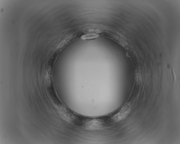 X0000067870460200604271740