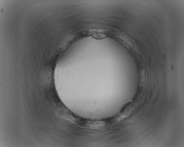 X0000067870463200604271740