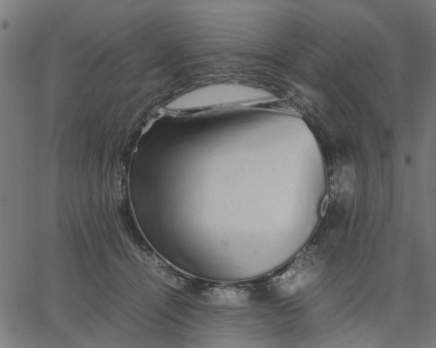 X0000067870464200604271740