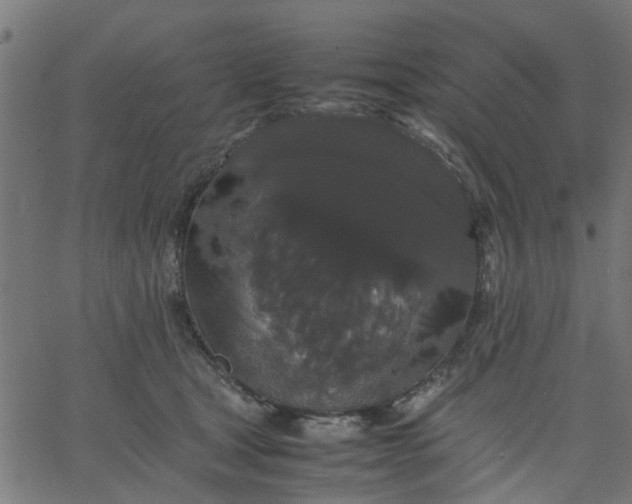 X0000067870465200604271740