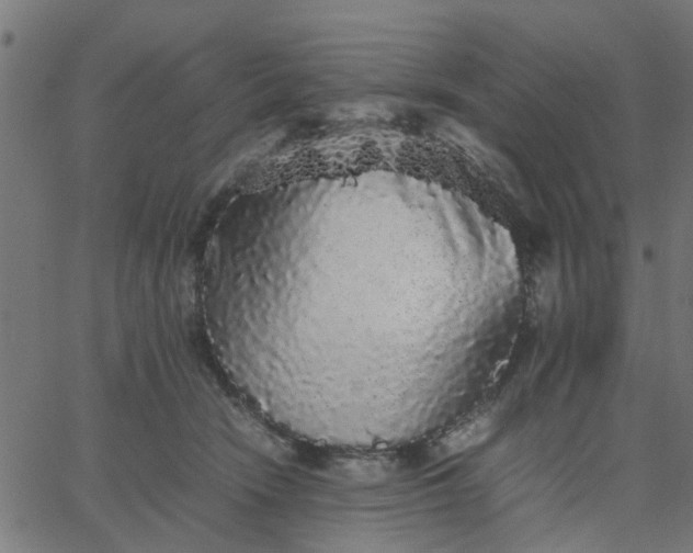 X0000067870466200604271740