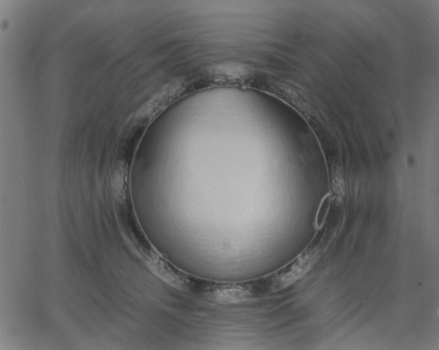 X0000067870468200604271740