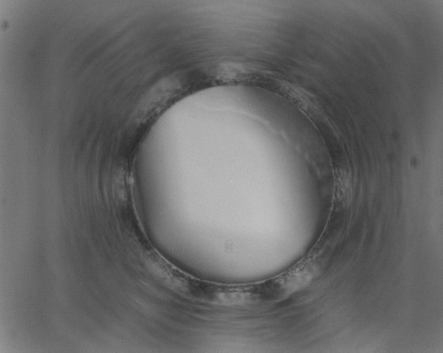 X0000067870470200604271740