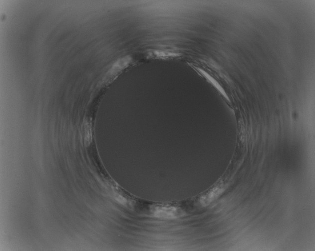 X0000067870471200604271740