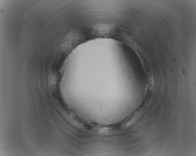 X0000067870472200604271740