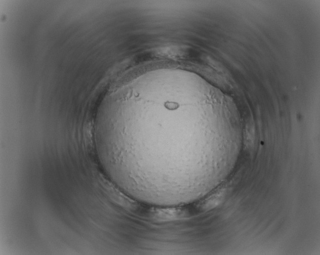 X0000067870473200604271740