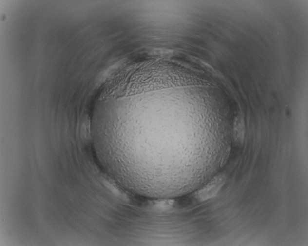 X0000067870474200604271740