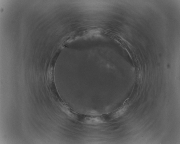 X0000067870475200604271740