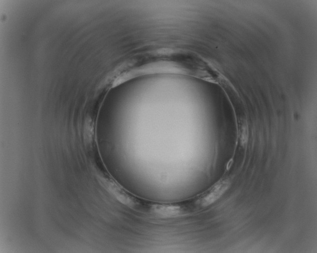 X0000067870476200604271740