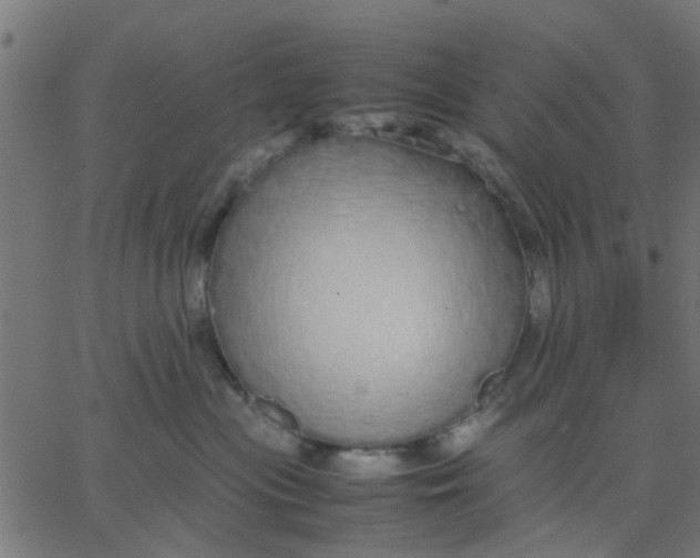 X0000067870477200604271740