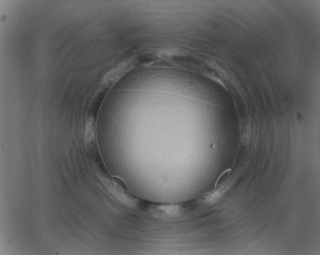 X0000067870478200604271740