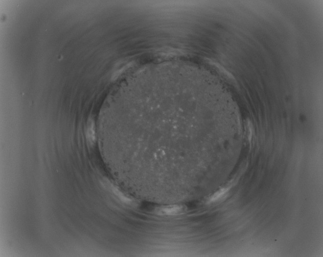 X0000067870479200604271740