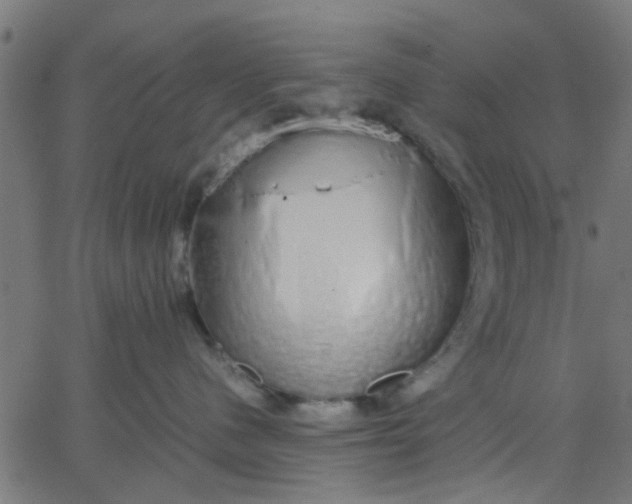 X0000067870480200604271740