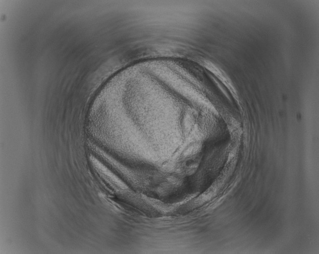 X0000067870481200604271739