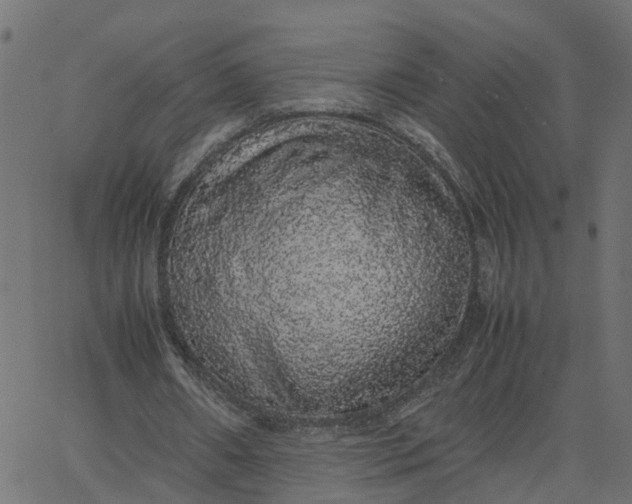 X0000067870482200604271739