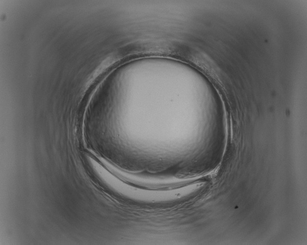 X0000067870483200604271739