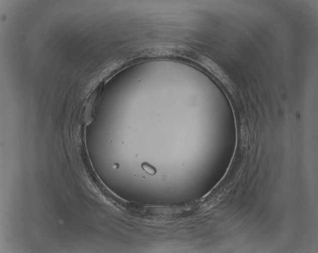 X0000067870485200604271739