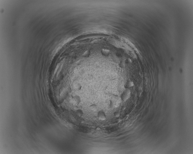 X0000067870487200604271739