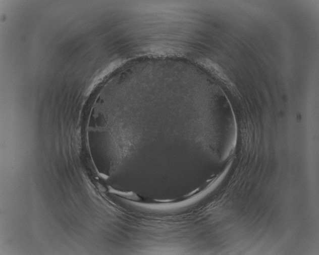 X0000067870488200604271739