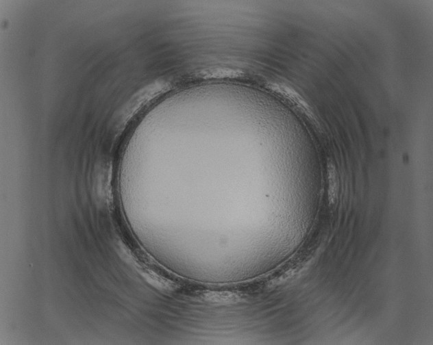 X0000067870490200604271739