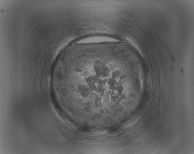 X0000067870491200604271739