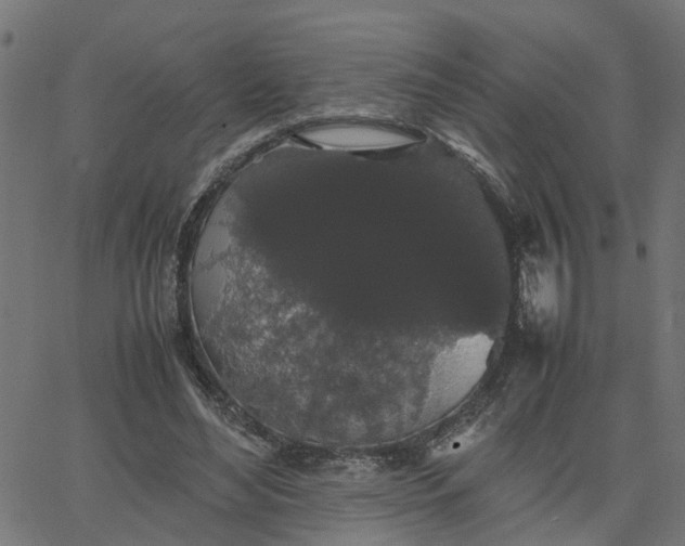 X0000067870492200604271739