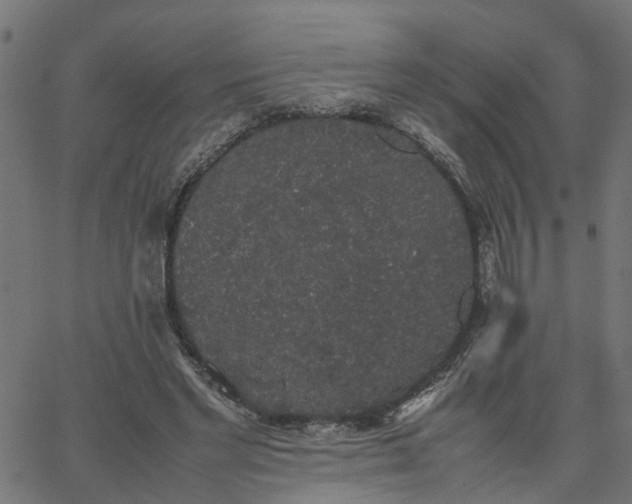 X0000067870493200604271739