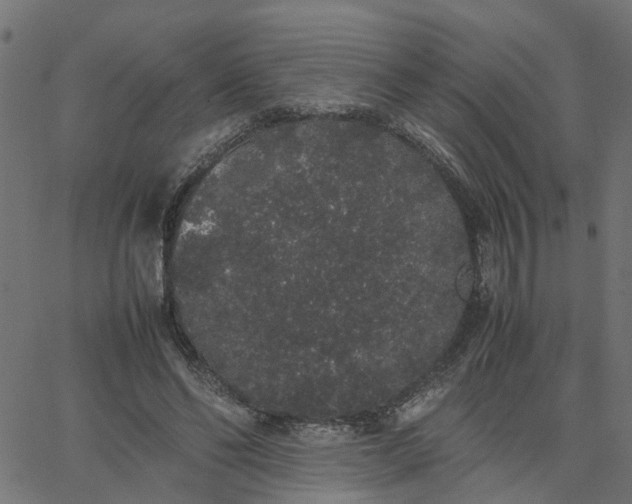 X0000067870494200604271739