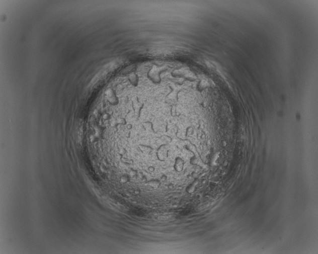 X0000067870495200604271739