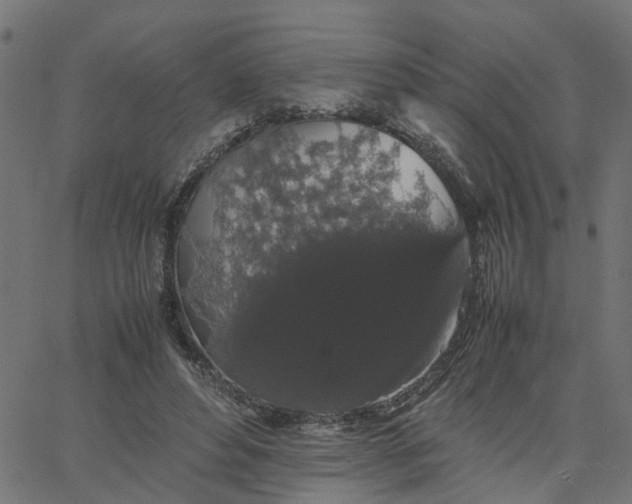 X0000067870496200604271739